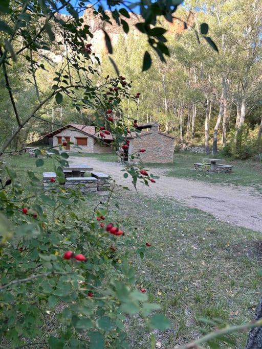 Vistas Del Maestrazgo Apartamentos Rurales Allepuz Zewnętrze zdjęcie